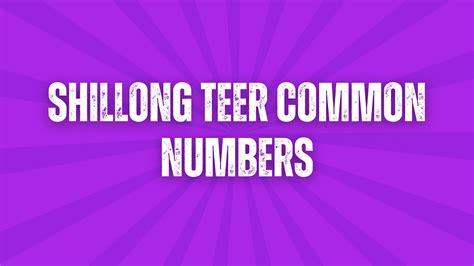 feedinco teer|Shillong Teer Common Number .